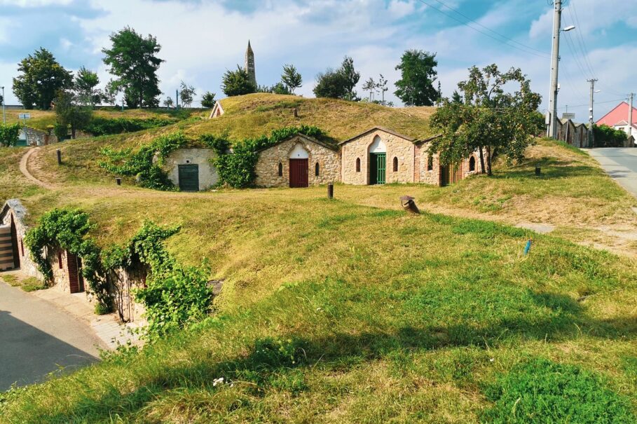 Czeskie Morawy - zachwycająca kraina winem płynąca 16