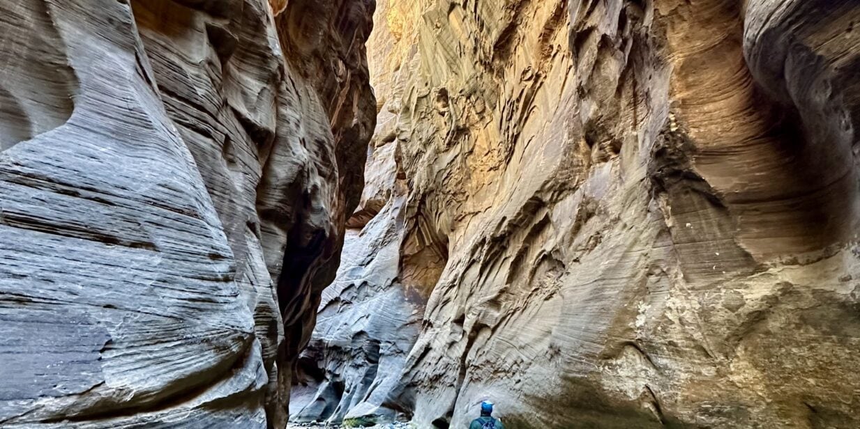 Wędrówka rzeką między ścianami kanionu. The Narrows w Zion National Park to szlak, którego nie zapomnimy 26